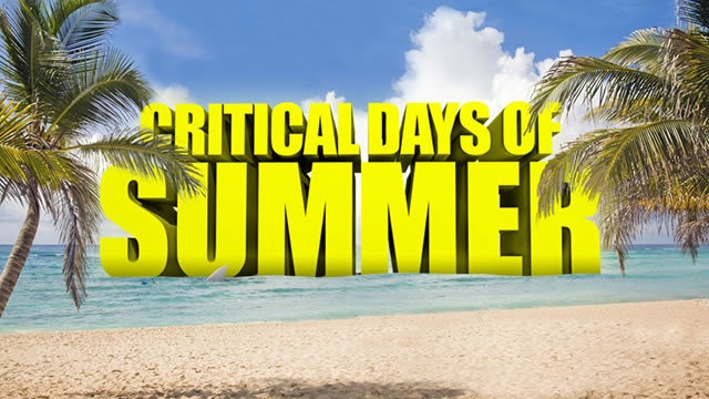 Critical Days of Summer: Say Something