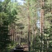 Minnesota National Guard works with Croatian State Partners during Exercise Saber Strike 17