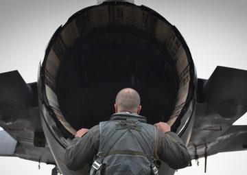 Inspecting the back