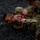 Two individuals wearing military camouflage uniforms (OCP/MultiCam pattern) are engaged in ground combat training on a rubber mulch or recycled tire surface. One person is on top applying what appears to be a chokehold or grappling technique, while the other is on the ground in a defensive position. This appears to be a combatives or hand-to-hand combat training exercise.