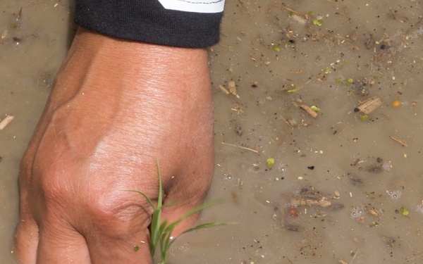 Station residents plant rice with Japanese locals