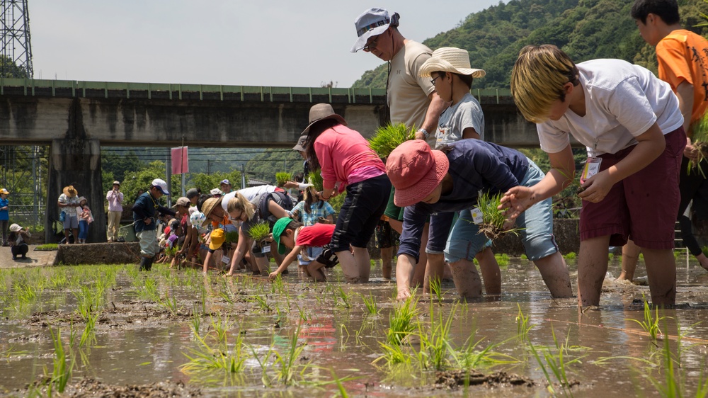 Station residents plant rice with Japanese locals