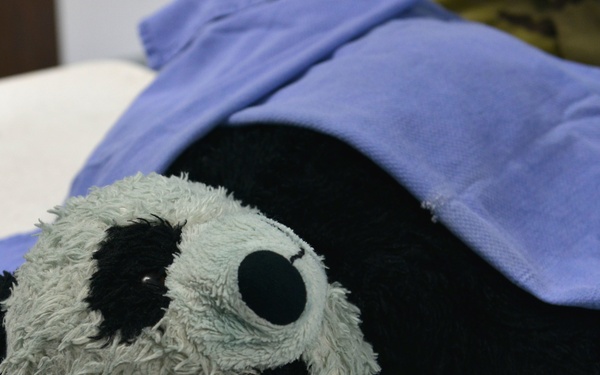 Shaw VTF prepares Soldiers with bears