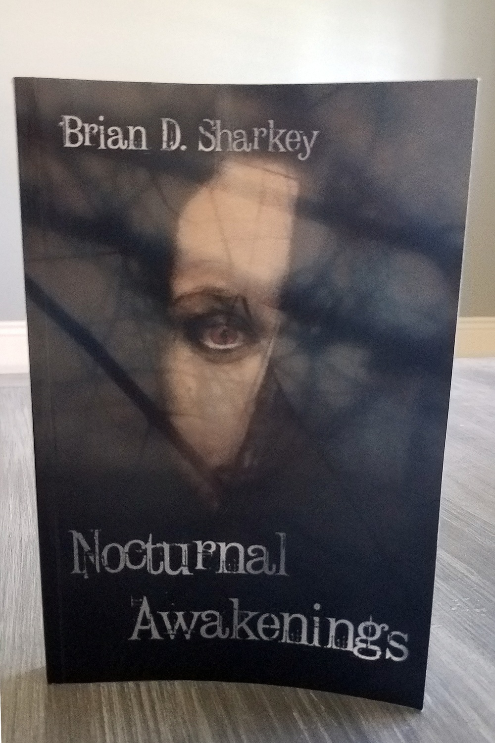 Full-time Airman, part-time author