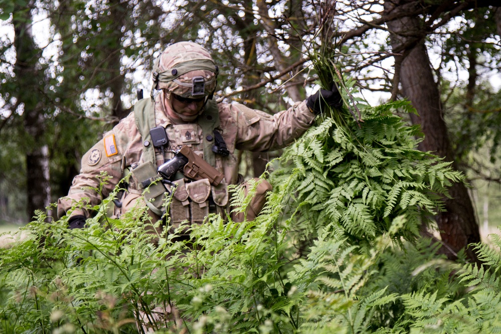 Saber Strike 2017 - Field Training Begins