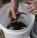 California Tiger Salamander