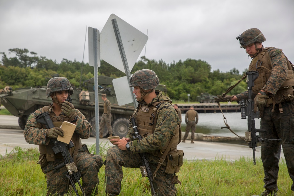 Sink or swim: Marines test their amphibious capabilities