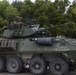 Sink or swim: Marines test their amphibious capabilities