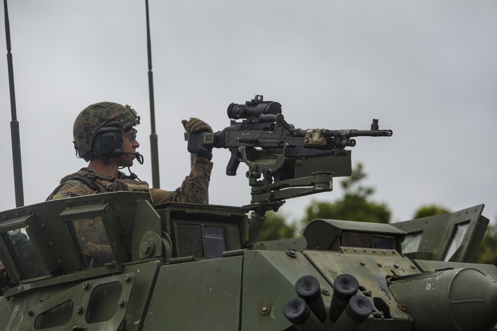 Sink or swim: Marines test their amphibious capabilities