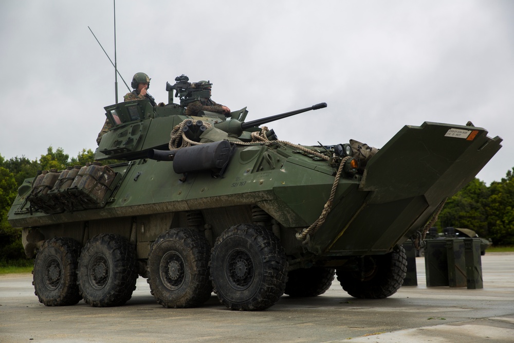 Sink or swim: Marines test their amphibious capabilities