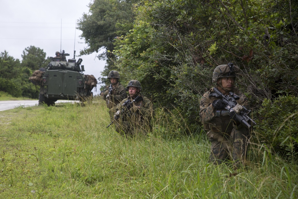 Sink or swim: Marines test their amphibious capabilities