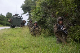 Sink or swim: Marines test their amphibious capabilities