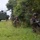 Sink or swim: Marines test their amphibious capabilities