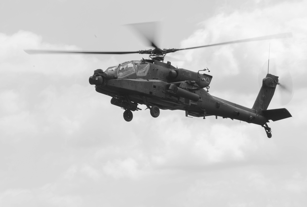 NOBLE JUMP 17 - 14 June - Exercise Noble Jump 17 Capability Demonstration