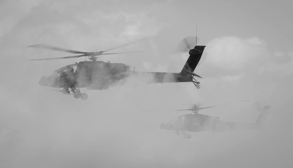 NOBLE JUMP 17 - 14 June - Exercise Noble Jump 17 Capability Demonstration