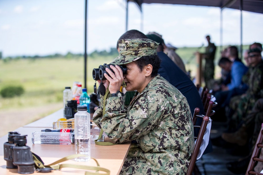 NOBLE JUMP 17 - 14 June - Exercise Noble Jump 17 Capability Demonstration