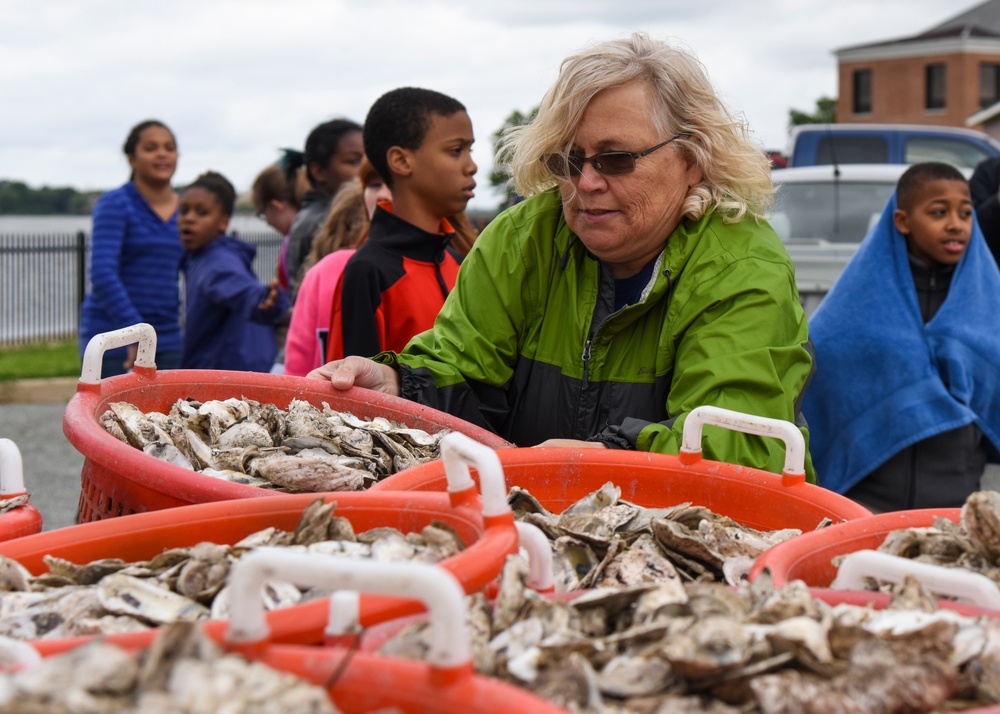 Cleaning the bay, one oyster at a time
