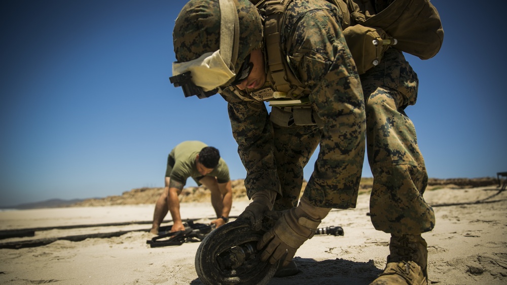 CERTEX: Water dogs provide water for two battalions on Red Beach