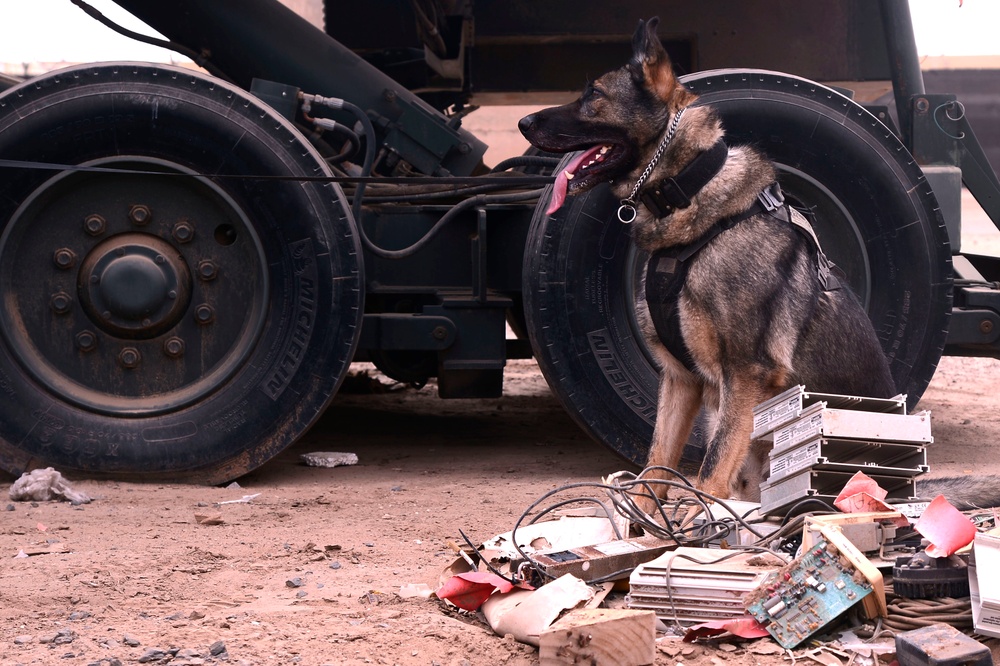 CJTF-HOA security, MWDs protect, defend base