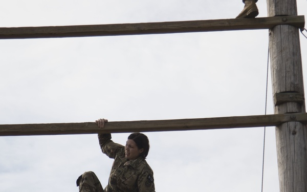 Climbing the ladder
