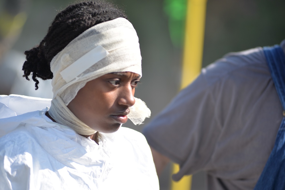 Operation Vigilant Catamount