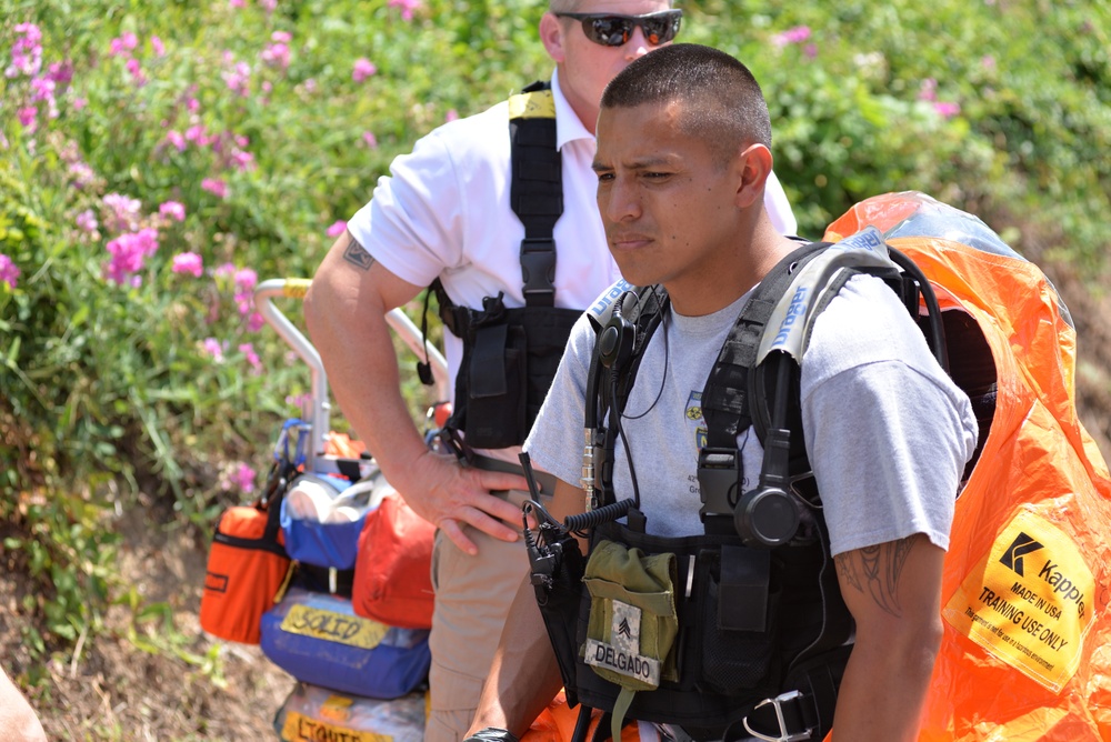 Operation Vigilant Catamount