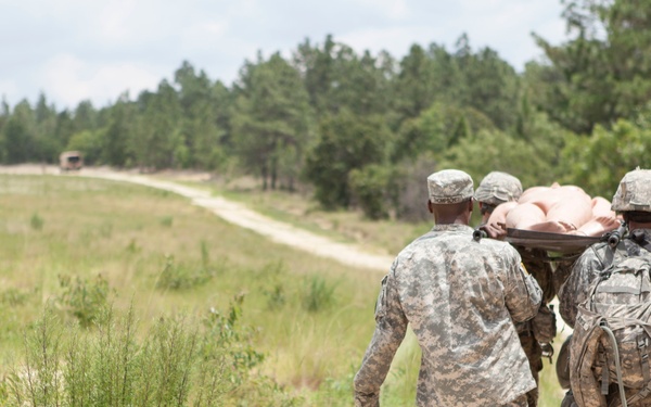 Three soldiers in U.S. Army ACU (Army Combat Uniform) pattern camouflage are carrying a casualty on a litter (stretcher) along a sandy dirt trail. The scene appears to be a training exercise conducted in an open field environment bordered by pine and deciduous trees. At least one soldier is armed and carrying a rucksack, suggesting a field exercise scenario.