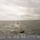 170614-N-GG458-124 The image is taken from the stern of a U.S. Navy ship named 'Arlington' (visible as mirrored text on the ship's hull), showing multiple amphibious assault vehicles (AAVs) deployed in open water. The vehicles are moving away from the ship in a dispersed formation toward a distant shoreline. The scene appears to depict a military amphibious training exercise or operation under overcast conditions.
