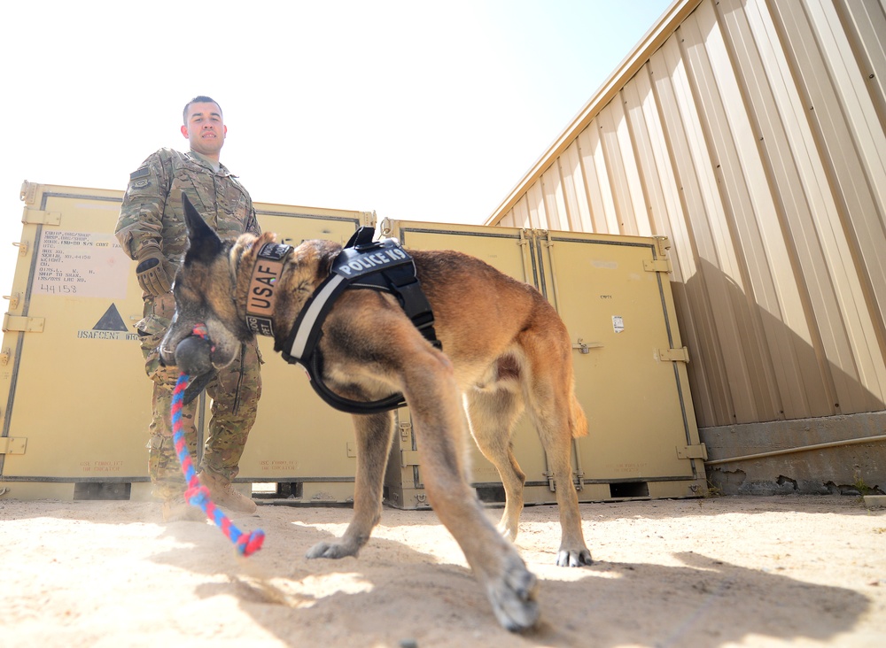The unbroken bond: Military working dogs defend coalition, secure base borderline