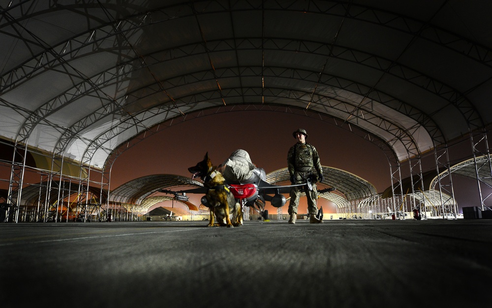The unbroken bond: Military working dogs defend coalition, secure base borderline