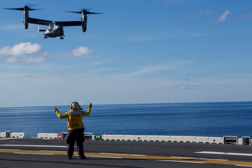 VMA-311 Harriers take flight