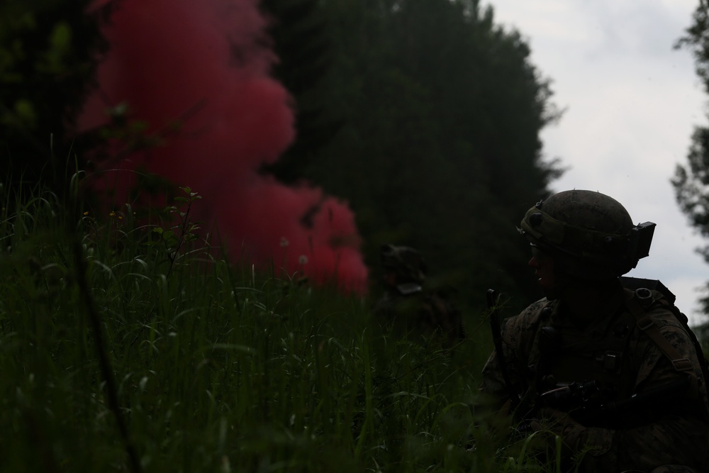 Saber Strike 17: BSRF Marines patrol during FINEX