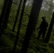 Saber Strike 17: BSRF Marines patrol during FINEX