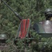 Lithuanian soldiers maneuver