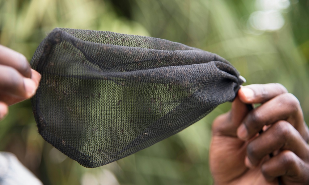Community health protects against food, vector-borne diseases