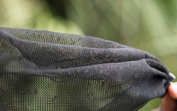 Community health protects against food, vector-borne diseases