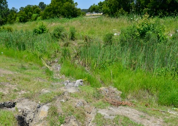 After car wreck, self-described Coast Guard 'paper pusher' answers the call for help