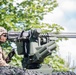 Saber Strike 2017