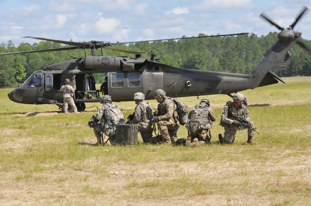 1-118FA air assault gun raid