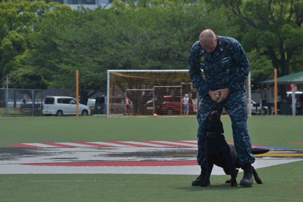 Dog Training