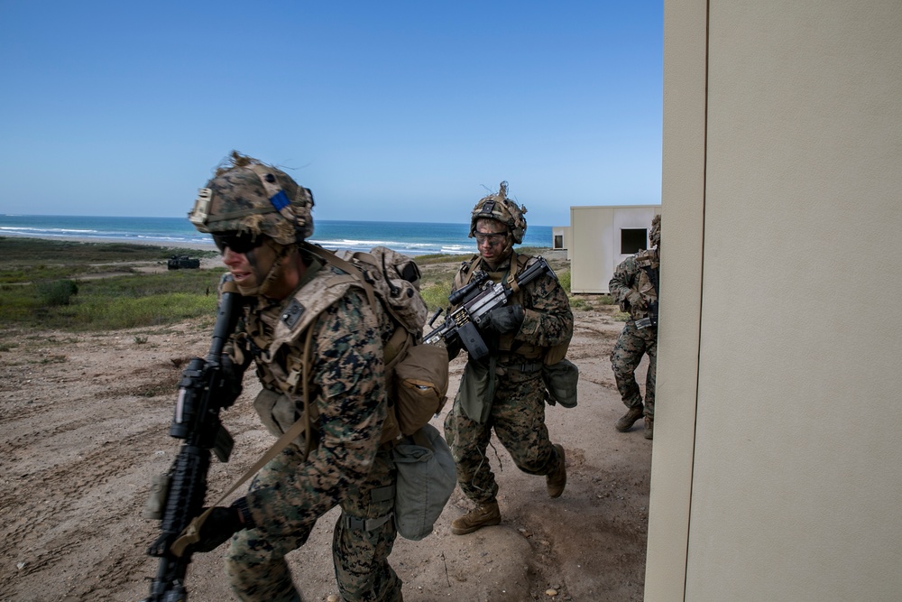 The Professionals: V-2/1 MCCRE