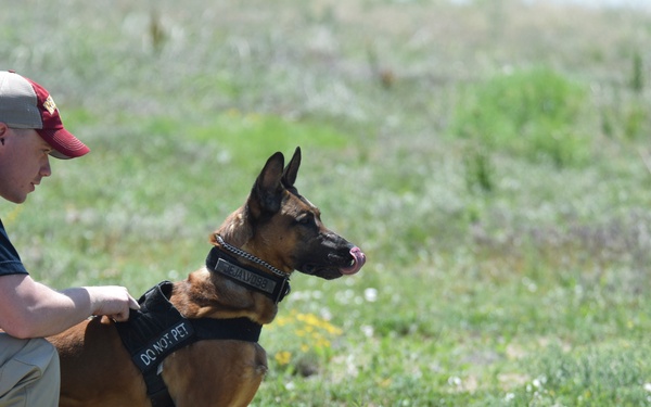 Buckley hosts RMDP Iron Dog Competition