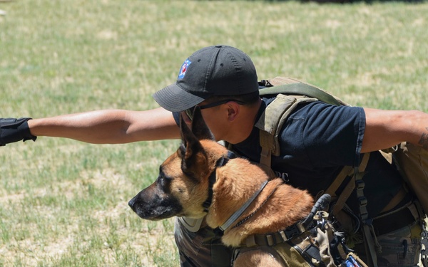 Buckley hosts RMDP Iron Dog Competition