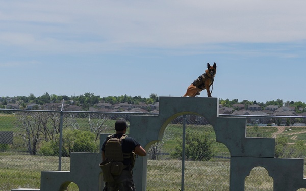 Buckley hosts RMDP Iron Dog Competition