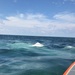 Coast Guard rescues 3 from capsized boat near Freeport, Texas