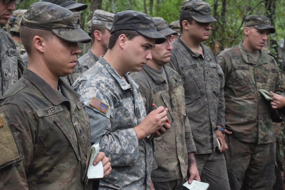 Three Weeks in the Field