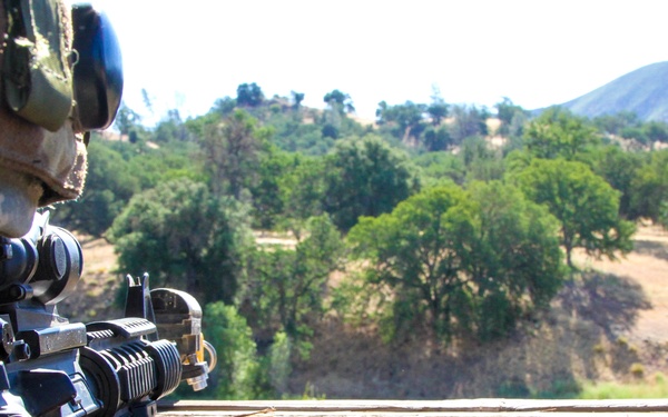 WAREX 17-03- 341st Military Police Company conducts critical site security operations