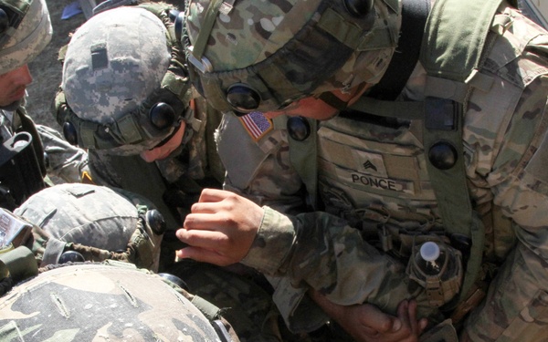 WAREX 17-03- 341st Military Police Company conducts critical site security operations