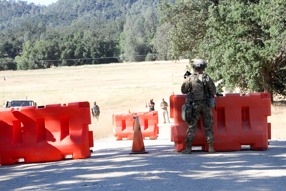 WAREX 17-03- 341st Military Police Company conducts critical site security operations