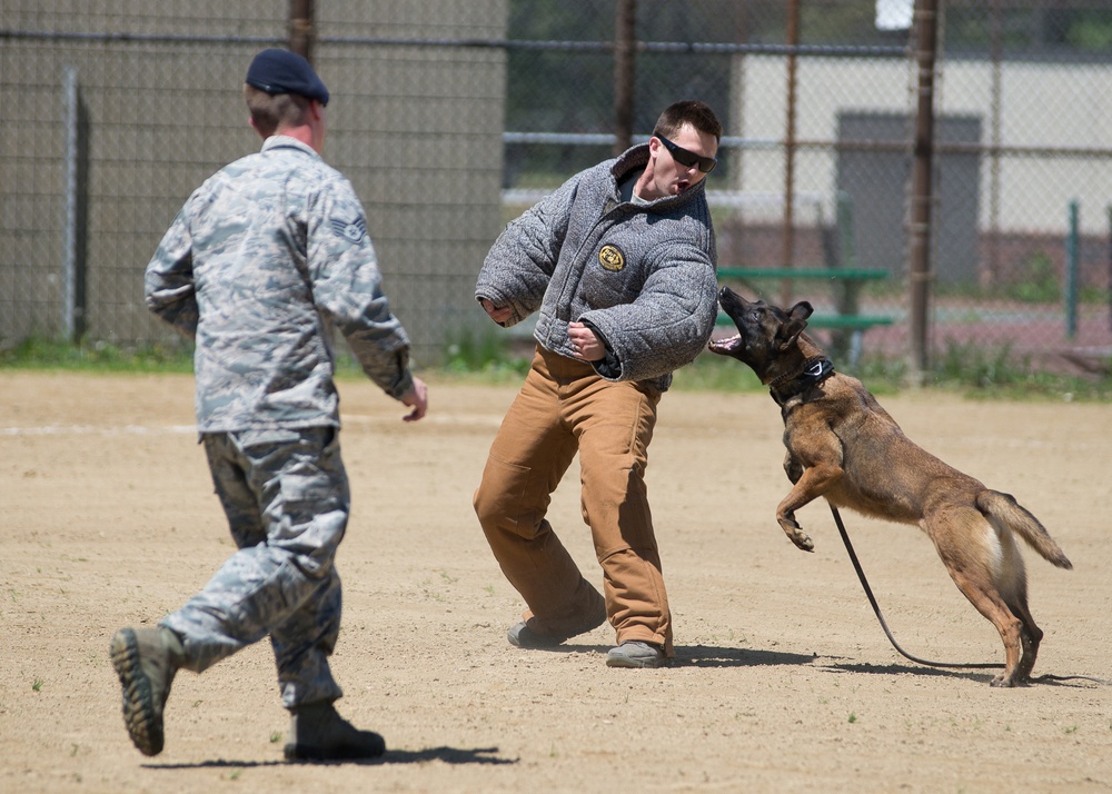 Police Week activities held on base